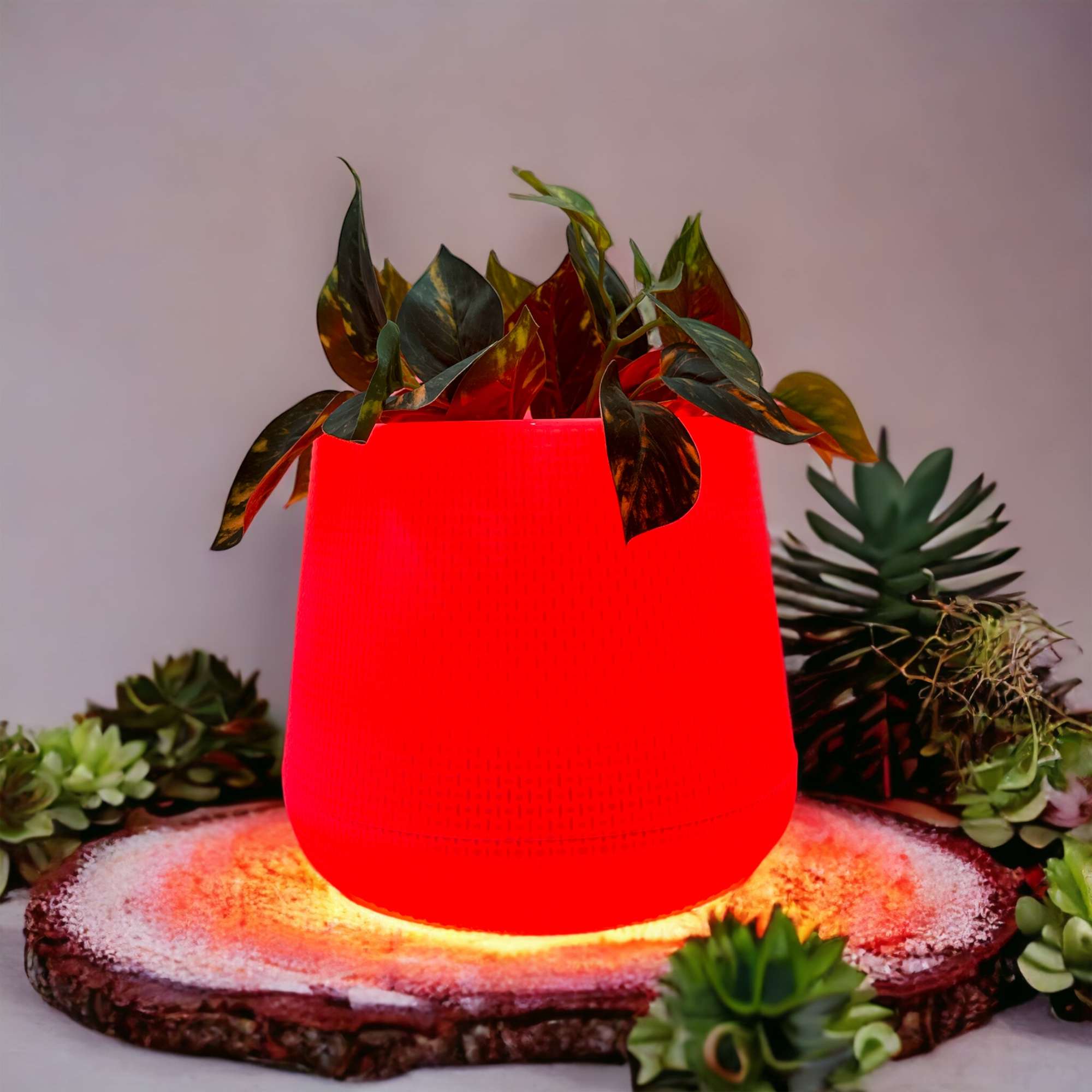Red Led Planter 5 Inches