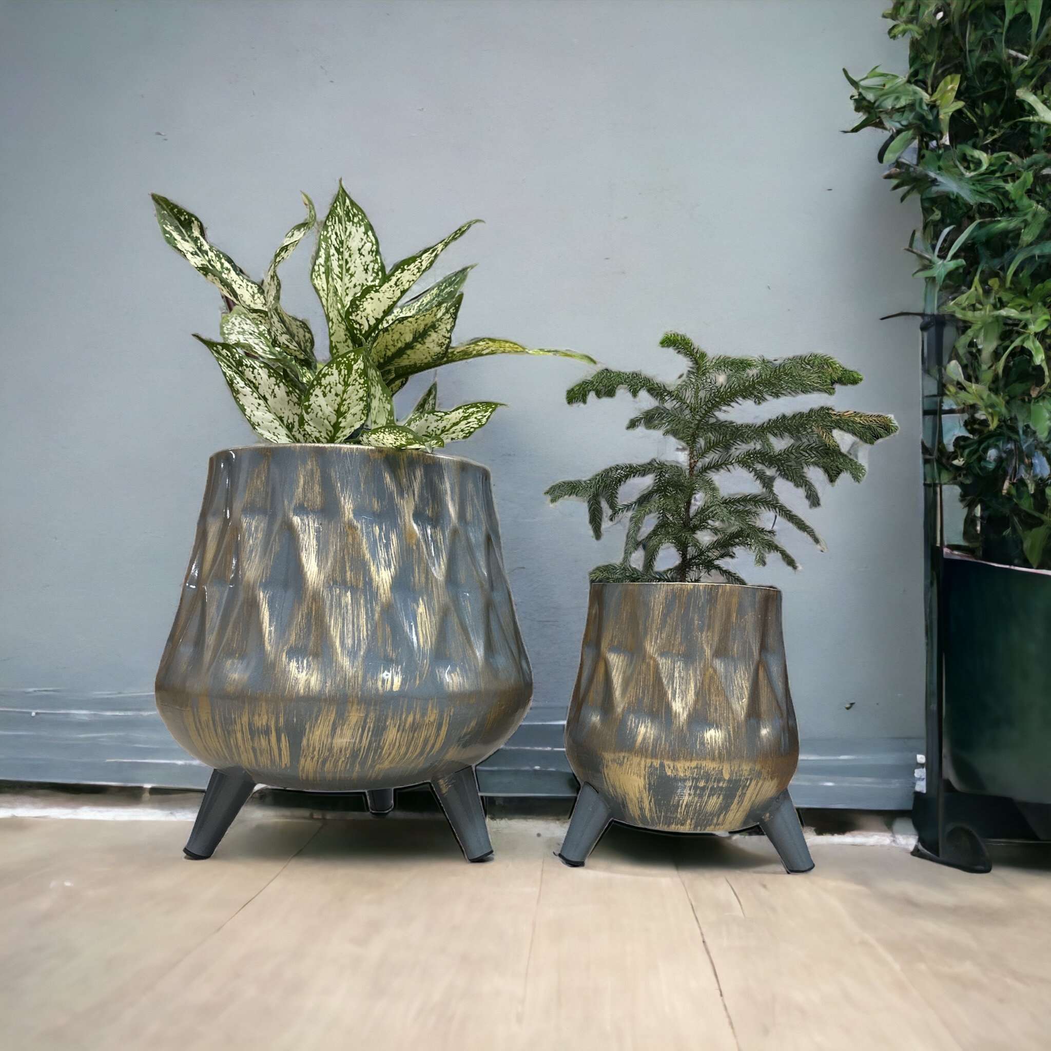 Metal Grey Gold Pair