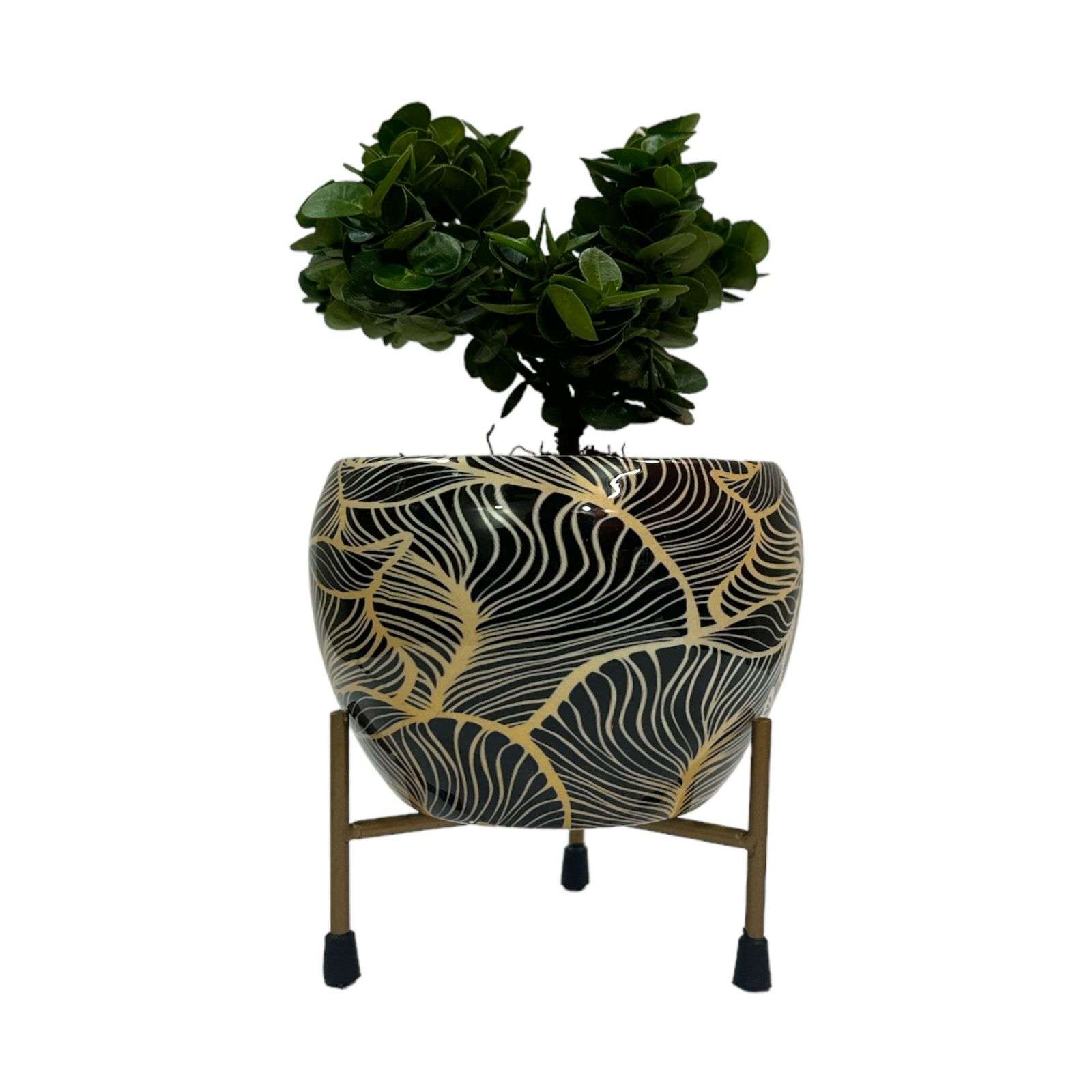 Black and gold abstract