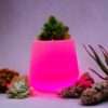 Pink Led Planter 8 Inches