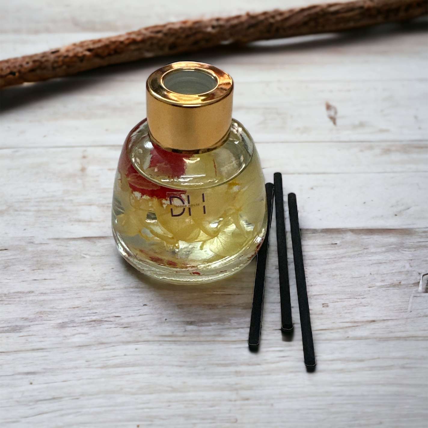 PhotoRoom-20230904-130354