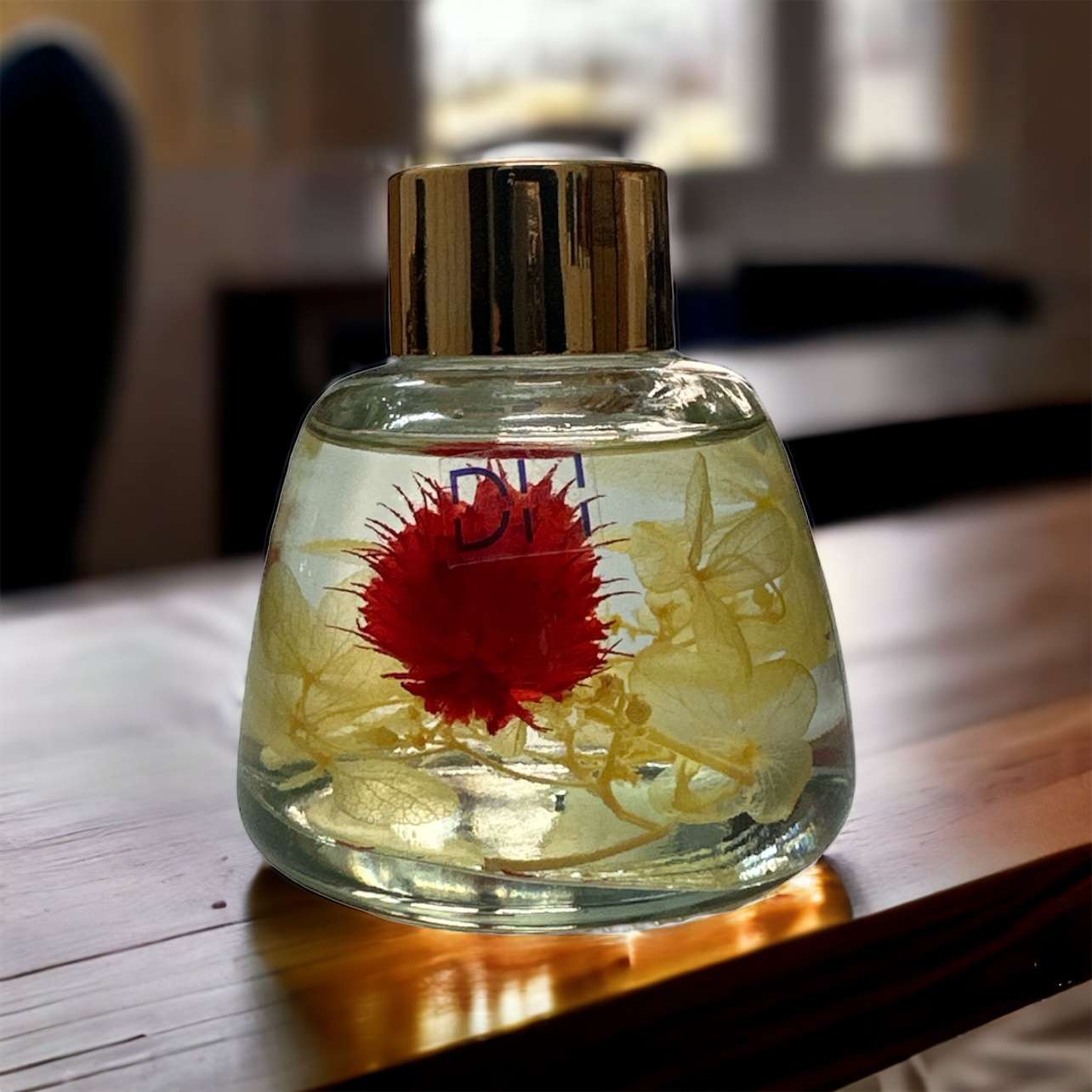 PhotoRoom-20230904-130419