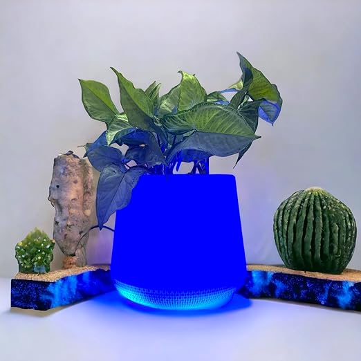 Blue led planter