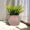 ceramic pink pot